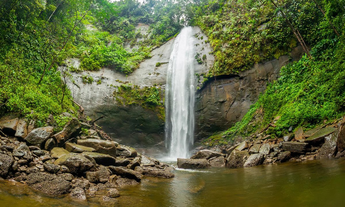 Cascada cayendo sobre roca húmeda en un cañón cubierto de selva.